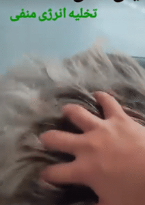 نمونه ماساژ مرکز حیاتی