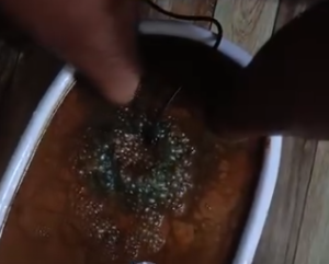 نمونه ماساژ مرکز حسین نادری